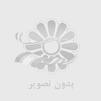 کارتن سازی
